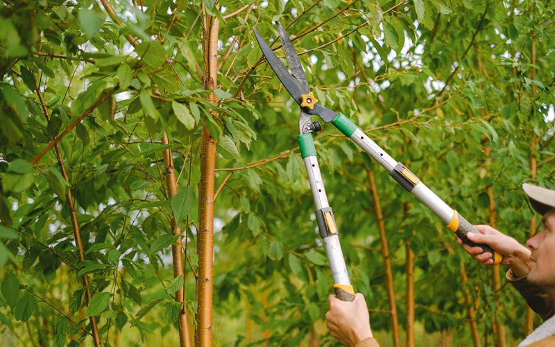 Tree trimming in Pequea, PA
